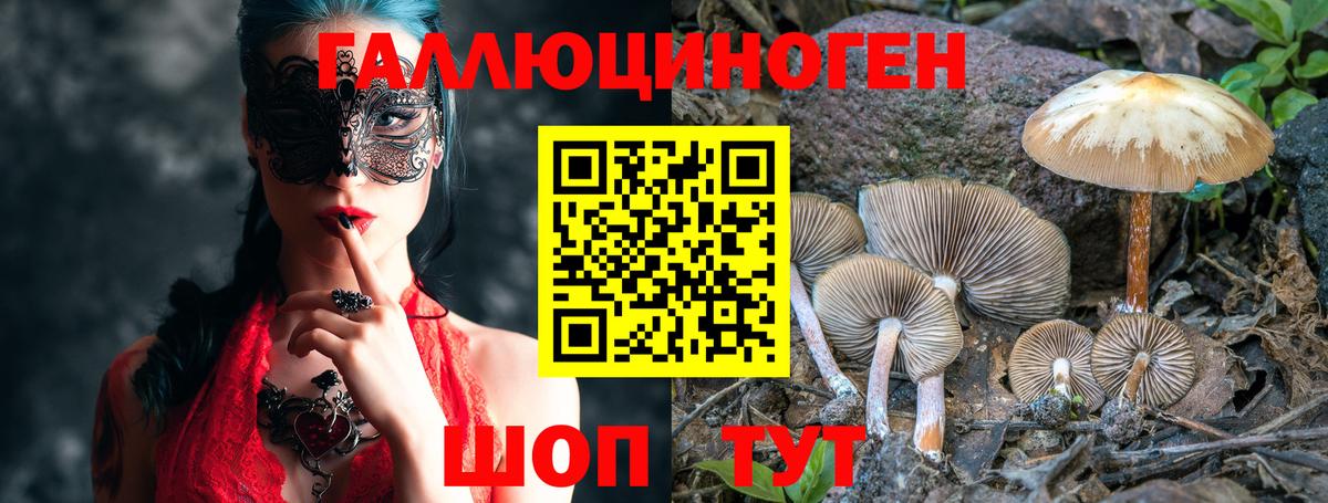 Псилоцибиновые грибы мухоморы  Вход с VPN  Псилоцибиновые грибы Magic Shrooms  Медногорск 